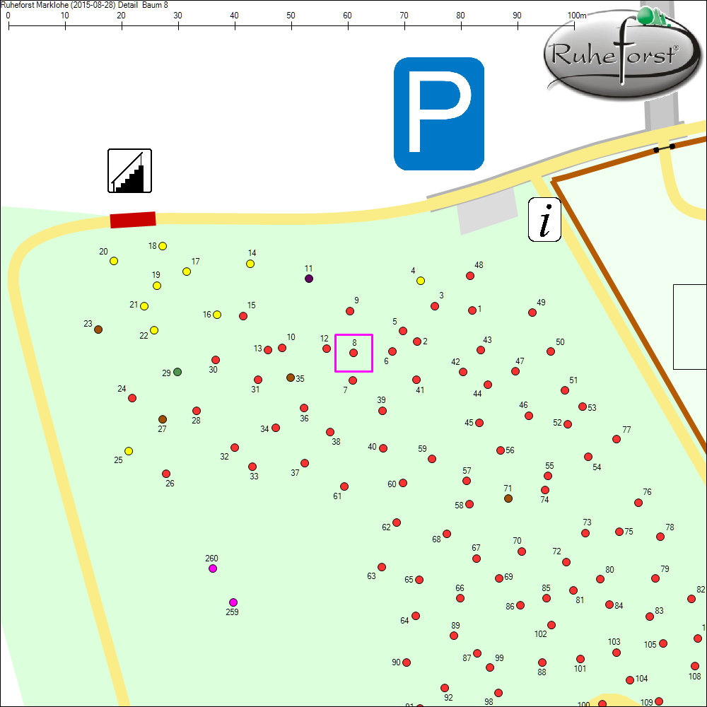 Detailkarte zu Baum 8